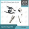 7135-580 iniettori 28342997/R00001D/28307309 di Delphi Injector Repair Kit For