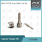 7135-656 Delphi Injector Repair Kit For R00504Z con l'ugello L135PBD