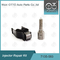 7135-583 ugello L341PRD di Delphi Injector Repair Kit For R00301D SSANGYONG D20DTF