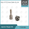 7135-583 ugello L341PRD di Delphi Injector Repair Kit For R00301D SSANGYONG D20DTF