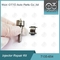 7135-654 Delphi Injector Repair Kit R00501Z con l'ugello L456PRD