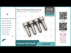 L236PRD Delphi Common Rail Nozzle per iniettori R04201D