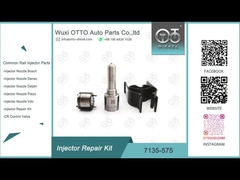 7135-575 ugello L363PRD di VW 1.2L di Delphi Injector Repair Kit For 28231462
