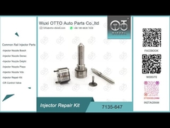 7135-647 Delphi Injector Repair Kit For 28232248 con l'ugello L120PBD