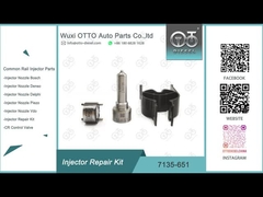7135-651 Delphi Injector Repair Kit For R02201Z con l'ugello L121PBD