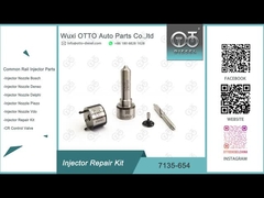 7135-654 Delphi Injector Repair Kit R00501Z con l'ugello L456PRD