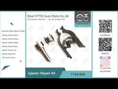 7135-656 Delphi Injector Repair Kit For R00504Z con l'ugello L135PBD