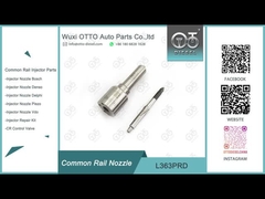 VW 1.2L degli iniettori 28231462 di L363PRD Delphi Common Rail Nozzle For