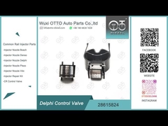 28615824 Valvola di controllo Common Rail per iniettori Delphi Common Rail R00001D/28307309