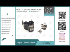 28239294 valvola di controllo dell'iniettore di Delphi per gli iniettori di Delphi EJBR02401Z/02901D ecc.
