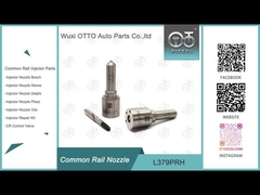 L379PRH Delphi Common Rail Nozzle per iniettori 28231014 GWM 2.0L