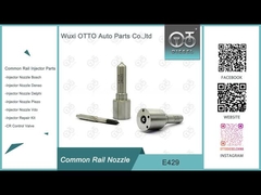 E429 ugello del delfiano comune