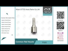 Iniezione di carburante F525 Delphi Common Rail Nozzle