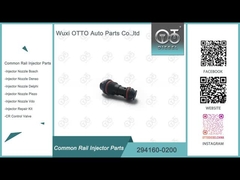 294160-0200 Assemblaggio di valvole Common Rail per pompe HP3 HP4