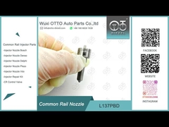 L137PBD Delphi Common Rail Nozzle per iniettori EJBR02401Z / 02901D