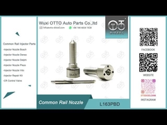 L163PBD Delphi Common Rail Nozzle per iniettori EJBR03301D