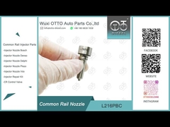 L216PBC Delphi Common Rail Nozzle per iniettori BEBE4D08001/24002/16001