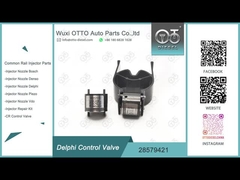 28579421 valvola di regolazione comune della ferrovia per gli iniettori R00101D R00001D/28307309 di Delfi ecc.