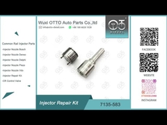 Kit di riparazione dell'iniettore Delphi per R00301D SSANGYONG D20DTF Nozzle L341PRD