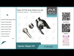 Kit di riparazione dell'iniettore del nozzolo-valvola Kit di riparazione dell'iniettore del nozzolo-CVA 7135 - 645 Delphi Common Rail per iniettori R052