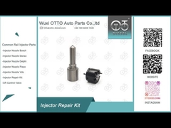 Kit di riparazione dell'iniettore Delphi 7135-816 Nozzle-Valve Kit Nozzle-CVA Kit