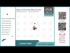 Valvola di regolazione comune della ferrovia per gli iniettori A2C59513554/5WS40539 ecc. di Siemens.