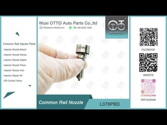 L078PBD B01901D Fusoli di Delfi per iniettori