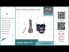 Kit di riparazione dell'iniettore Delphi R04701D