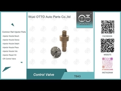 T643 Valvola di controllo Common Rail Applicata 0445110819/818/939