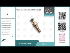 T613 Valvola di controllo Bosch Common Rail applicata 0445110551