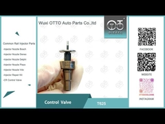 Valvola Common Rail Bosch T625 acciaio ad alta velocità