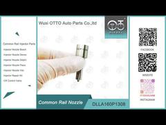 DLLA160P1308/0 433 171 817 Ugello diesel per iniettori Common Rail 0445110216 BMW applicato