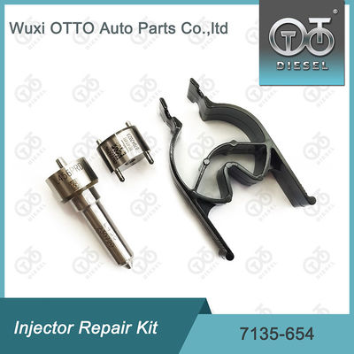 Kit di riparazione dell' iniettore  7135-654 per R00501Z con ugello L456PRD