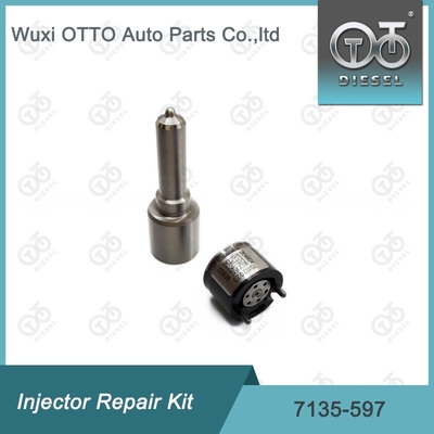 7135-597 Kit di riparazione dell'iniettore Delphi