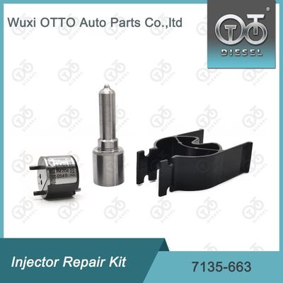 7135-663 Kit di riparazione dell'iniettore Delphi