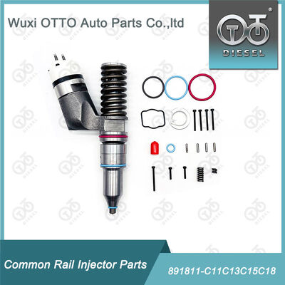 Kit di riparazione degli iniettori di carburante 891811-C11c13c15c18 per gli iniettori di carburante della serie C11 / C13 / 15 / 18