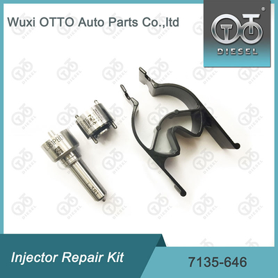 Kit di riparazione dell' iniettore Delphi per iniettori 28232251 / R03101D / R05102D