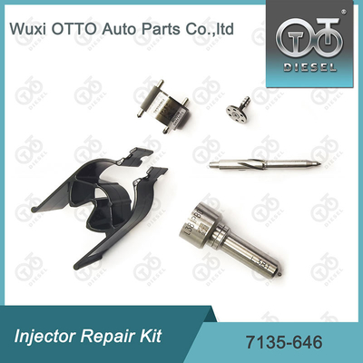 Kit di riparazione dell' iniettore Delphi per iniettori 28232251 / R03101D / R05102D