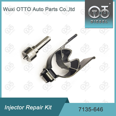 Kit di riparazione dell' iniettore Delphi per iniettori 28232251 / R03101D / R05102D