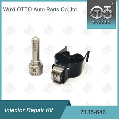 Kit di riparazione dell' iniettore Delphi per iniettori 28232251 / R03101D / R05102D
