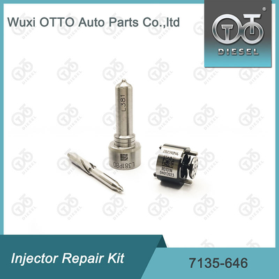 Kit di riparazione dell' iniettore Delphi per iniettori 28232251 / R03101D / R05102D