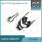 7135-624 iniettore DAIMLER R04201D di Delphi Injector Repair Kit For