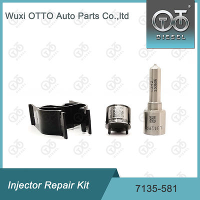 7135-581 Kit di riparazione dell' iniettore per R00101D PSA FORD DW10C