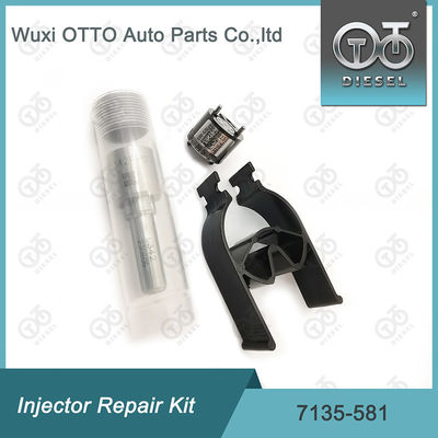 7135-581 Kit di riparazione dell' iniettore per R00101D PSA FORD DW10C