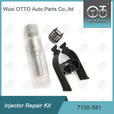 Kit di riparazione dell' iniettore Delphi Nozzle-CVA 7135-581 Per R00101D PSA / FORD DW10C Nozzle-Valve Kit