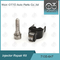 7135-647 Delphi Injector Repair Kit For 28232248 con l'ugello L120PBD