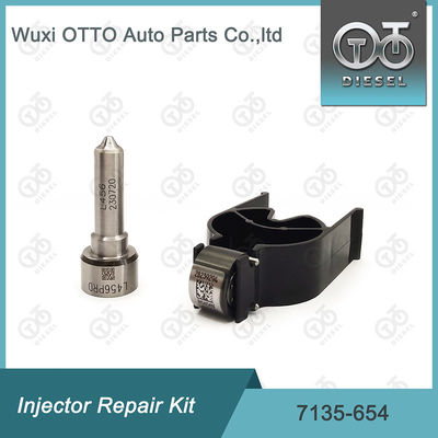 Kit di riparazione dell' iniettore  7135-654 per R00501Z con ugello L456PRD