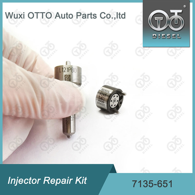 Kit di riparazione dell'iniettore Delphi 7135-651 per R02201Z con ugello L121PBD