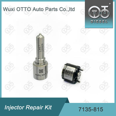 Kit di riparazione dell'iniettore Delphi 7135-815 Kit di riparazione dell'iniettore Delphi Kit di riparazione dell'iniettore del Delphi Il kit di riparazione dell'iniettore del Delphi include l'iniettore L467NRH e la valvola 28394612