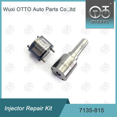 Kit di riparazione dell'iniettore Delphi 7135-815 Kit di riparazione dell'iniettore Delphi Kit di riparazione dell'iniettore del Delphi Il kit di riparazione dell'iniettore del Delphi include l'iniettore L467NRH e la valvola 28394612
